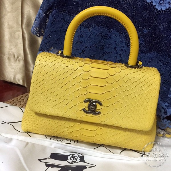 澶忓鏃跺皻鐧炬惌鐞冮瀷,澶忓鐧炬惌浼戦棽鐞冮瀷