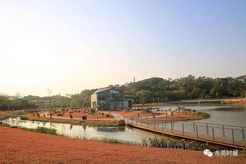 美翻了！春节不用出东莞，这个植物宝库带你游世界！现在就可去体验