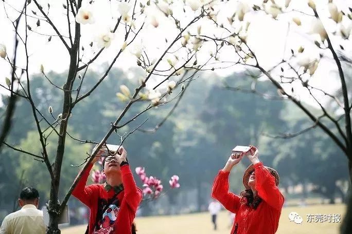 美翻了！春节不用出东莞，这个植物宝库带你游世界！现在就可去体验