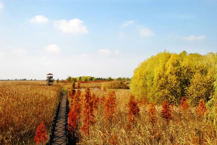 土著带你玩大连开发区,土著带你玩上海