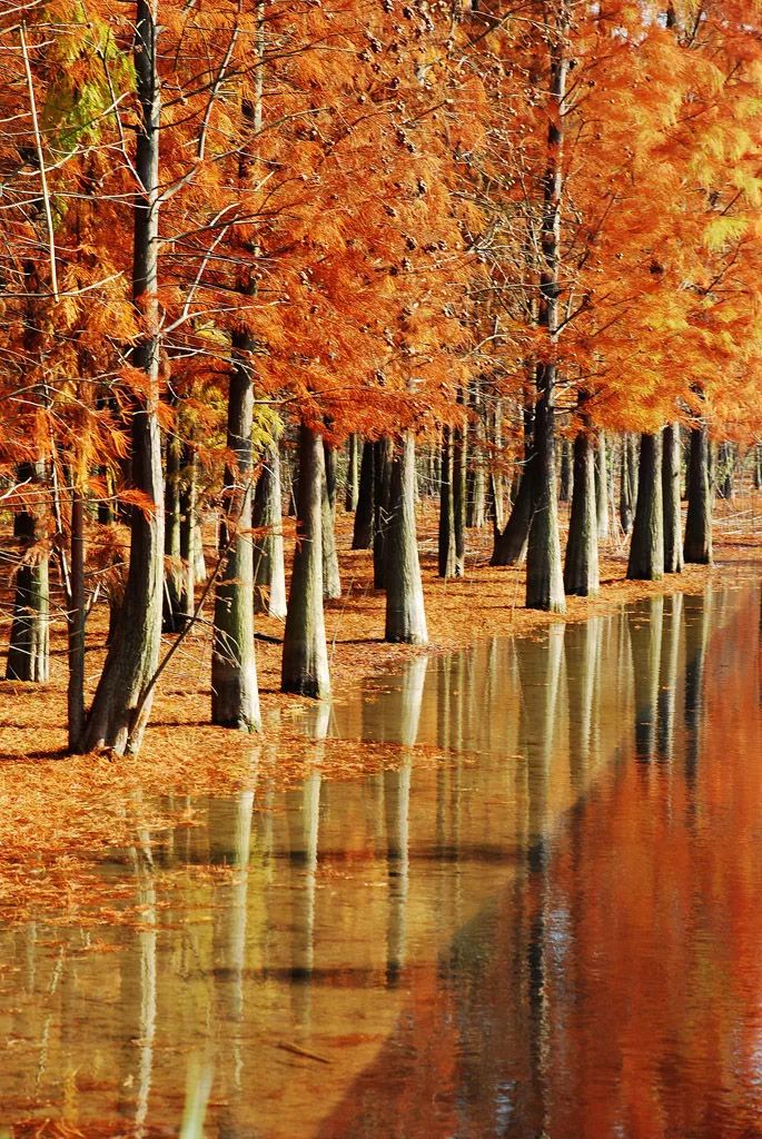 土著带你玩大连开发区,土著带你玩上海