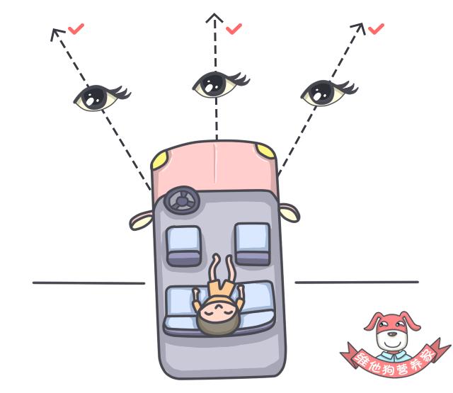 春节晕车怎么解决呢,春运晕车这5个方法是晕车克星