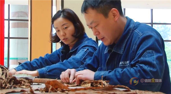 中国雪茄首个“世界之最”全长119.18米雪茄烟在什邡诞生