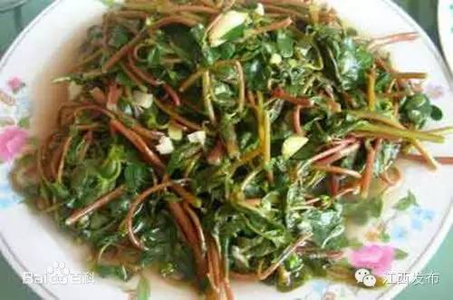 冰河开化狗熊撒欢,冰河解冻万物复苏狗熊撒欢原声