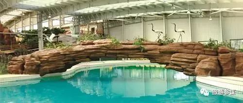 长春周边森林里的温泉有哪些,长春适合亲子度假的温泉