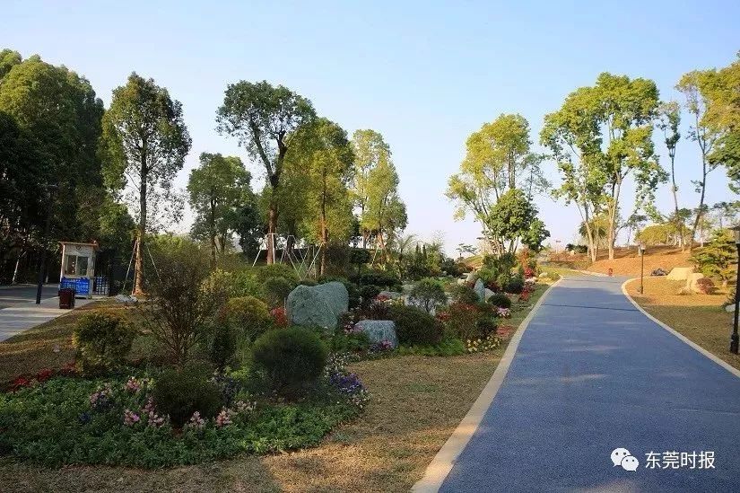 美翻了！春节不用出东莞，这个植物宝库带你游世界！现在就可去体验