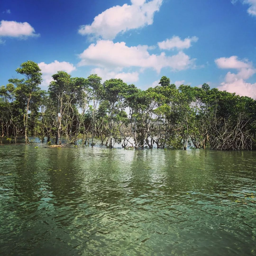 春节假期之旅,春节夏威夷游