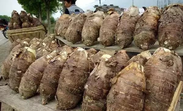 广西特产回家必买清单,广西南宁特产有哪些方便带回家