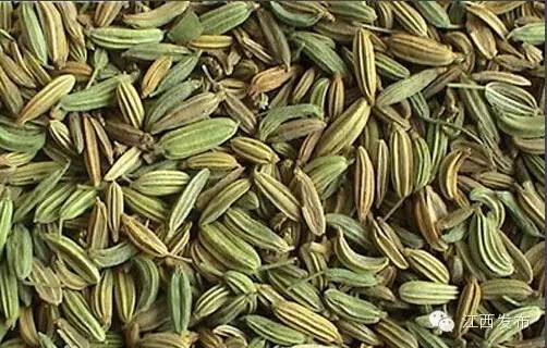 冰河开化狗熊撒欢,冰河解冻万物复苏狗熊撒欢原声