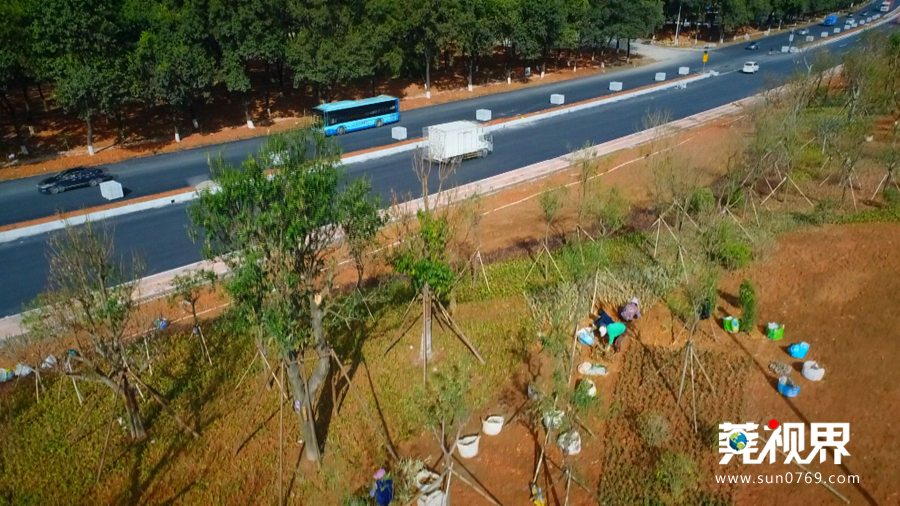 广东东莞美丽清溪,东莞市清溪镇旅游发展