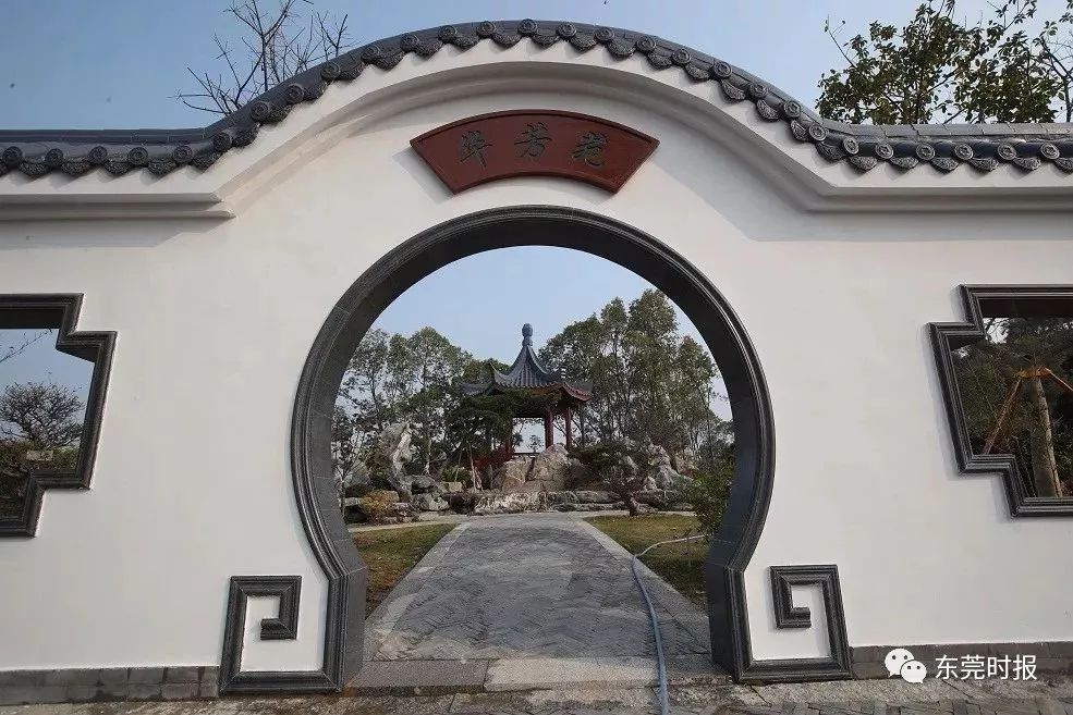 美翻了！春节不用出东莞，这个植物宝库带你游世界！现在就可去体验