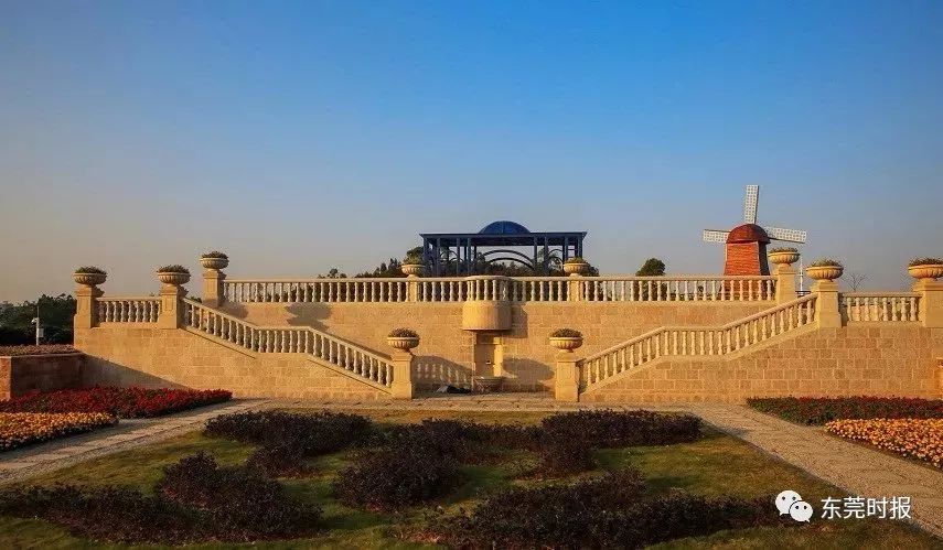 美翻了！春节不用出东莞，这个植物宝库带你游世界！现在就可去体验