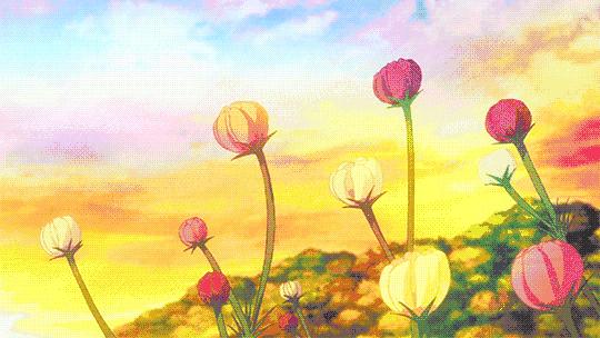 青岛赏花一日游最佳路线,青岛赏花最佳时间地点