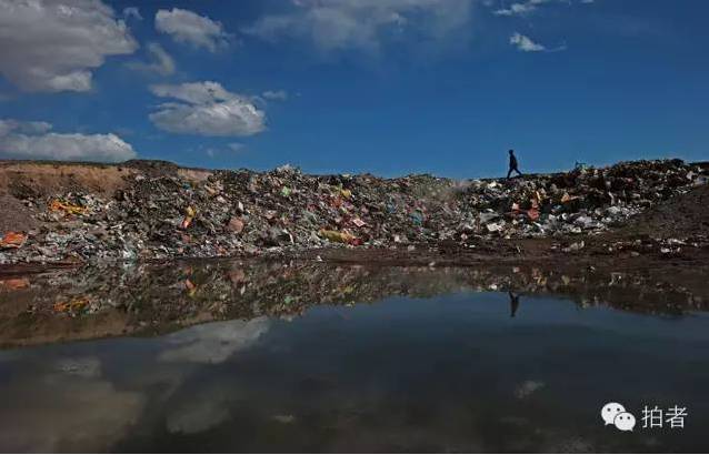 新京报两记者获金镜头奖，2015年他们还拍了哪些精彩图片？