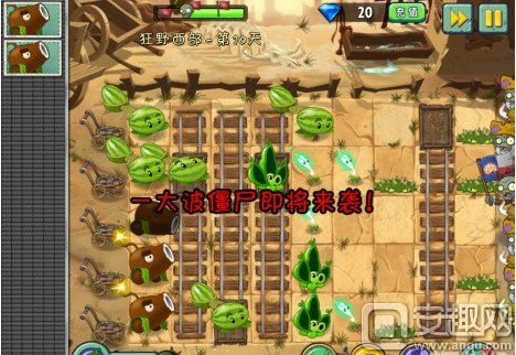 植物大战僵尸2狂野西部第19天攻略,植物大战僵尸2狂野西部第9天攻略