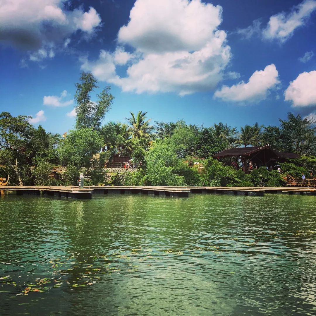 春节假期之旅,春节夏威夷游