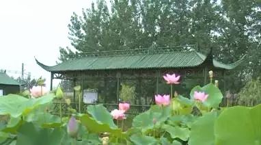 赏花蚌埠,蚌埠春季赏花