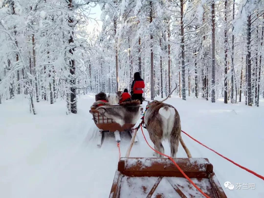 芬兰的自然教养观：从每一个普通人，到一个国度