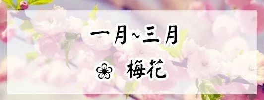 赏花蚌埠,蚌埠春季赏花