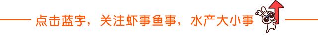 小龙虾，大市场！未来是否继续火爆取决于什么？盱眙、潜江、南京、武汉、上海、北京、合肥、杭州……跟着小龙虾地图走一遭吧！