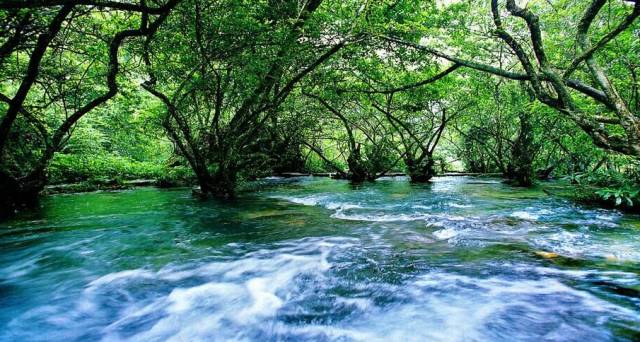 黔南旅游攻略自由行攻略,黔南5条精品旅游线路