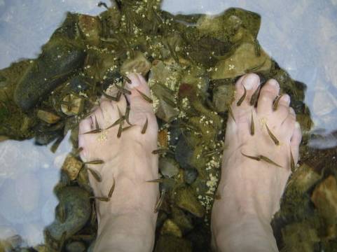 黔南旅游攻略自由行攻略,黔南5条精品旅游线路