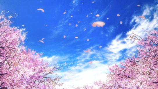 樱花鲁迅公园,2019年鲁迅公园樱花节