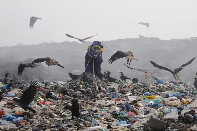 瀹夊痉鐑堟柉鎽勫奖鑾峰,淇勭綏鏂柊闂绘憚褰卞鍥剧墖