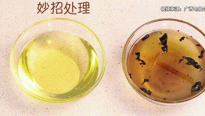 炸过的油如何变清小妙招,炸过的油怎么快速回清