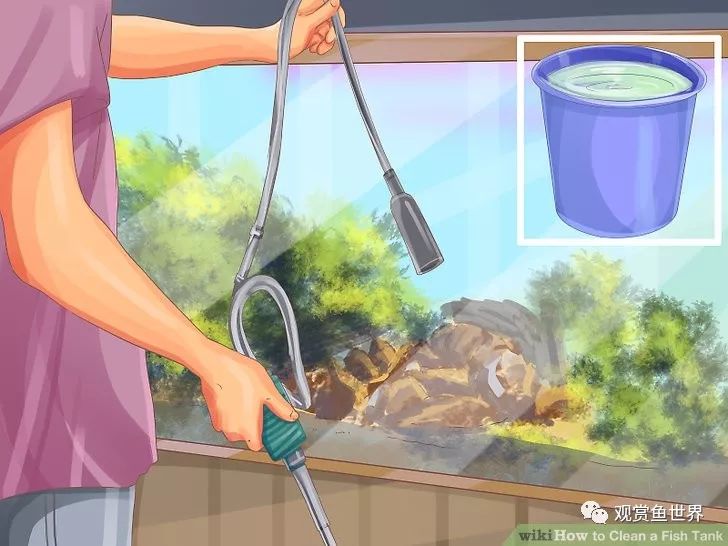 鱼跳出鱼缸的迷信说法,鱼经常跳出鱼缸是怎么回事