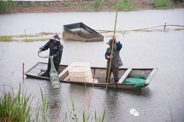 小龙虾，大市场！未来是否继续火爆取决于什么？盱眙、潜江、南京、武汉、上海、北京、合肥、杭州……跟着小龙虾地图走一遭吧！