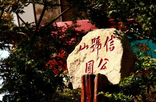 青岛赏花一日游最佳路线,青岛赏花最佳时间地点