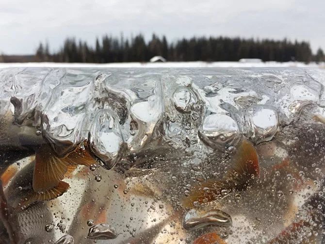 瀹夊痉鐑堟柉鎽勫奖鑾峰,淇勭綏鏂柊闂绘憚褰卞鍥剧墖