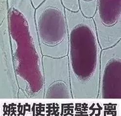 7500元gucci包,gucci包7500元