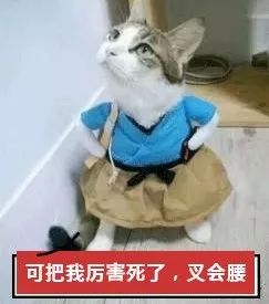 “今日说發”“同一首锅”“穿越米线”……这些爆笑店名，有你家乡的吗？