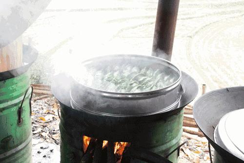 又是一年摘野菜季节,赣州有哪些野菜