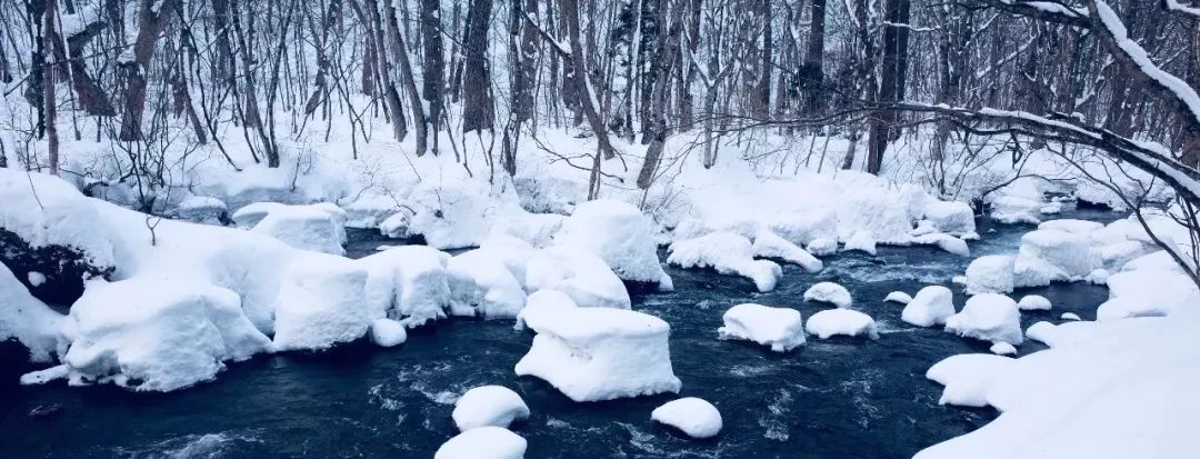 日本有毒的食品,日本有毒金属