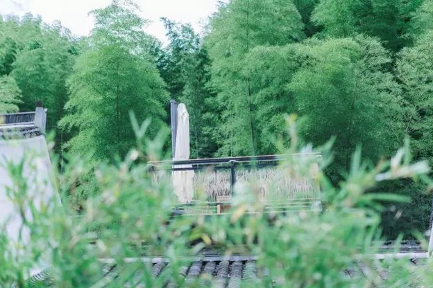 旅行胜地最美民宿,宁波龙观禅那艺术民宿优惠团购