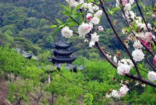 我有一座美丽的海岛,我有一座海岛免费下载