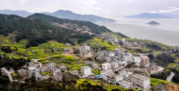 我有一座美丽的海岛,我有一座海岛免费下载