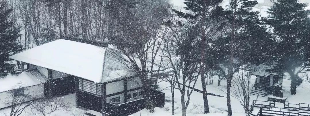 日本有毒的食品,日本有毒金属