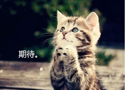 msi韩国解说绝望嘶吼,msi韩国比赛现场