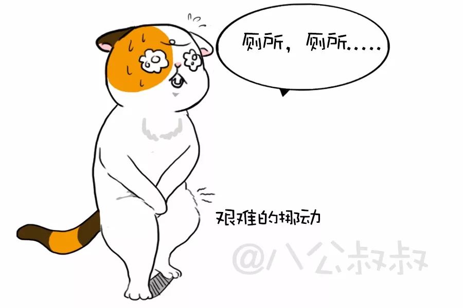 知识猫咪尿频尿急尿不出？当心得了下泌尿道症候群！