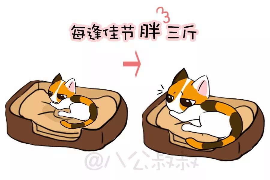知识猫咪尿频尿急尿不出？当心得了下泌尿道症候群！