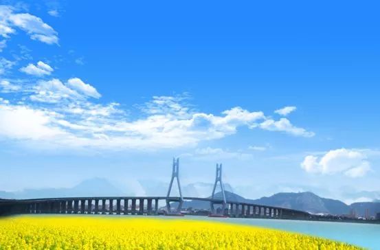 我有一座美丽的海岛,我有一座海岛免费下载