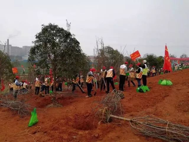 江西赣州学雷锋标兵,全国学雷锋活动示范岗