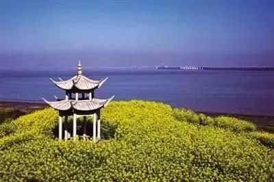 我有一座美丽的海岛,我有一座海岛免费下载