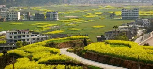 我有一座美丽的海岛,我有一座海岛免费下载