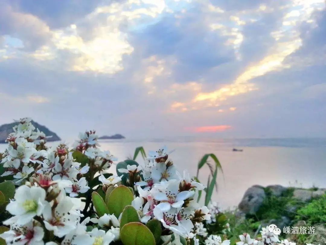 我有一座美丽的海岛,我有一座海岛免费下载