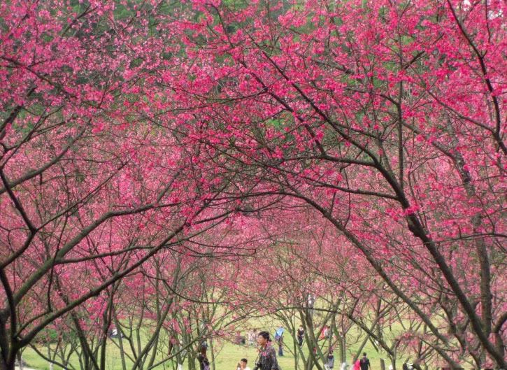 南宁70多个好玩项目,南宁45个一日游景点